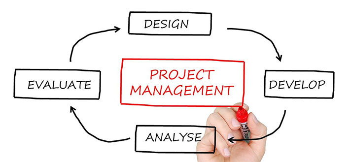 Collaboration & Productivity