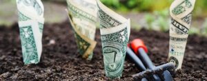 Rolled dollar bills planted in soil with gardening tools, symbolizing software validation for intended use as a financial investment in medical device regulatory compliance.